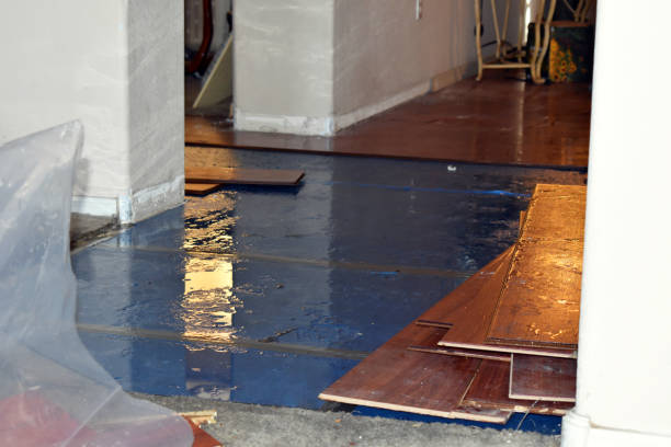 Professional Flood Damage Repair technician working in Westerly, RI